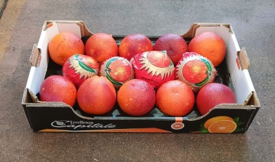 Foto Arance Tarocco Calibro 2  Varietà Lempso Origine Italia Marchio 'Eccellenza Capitale' 1